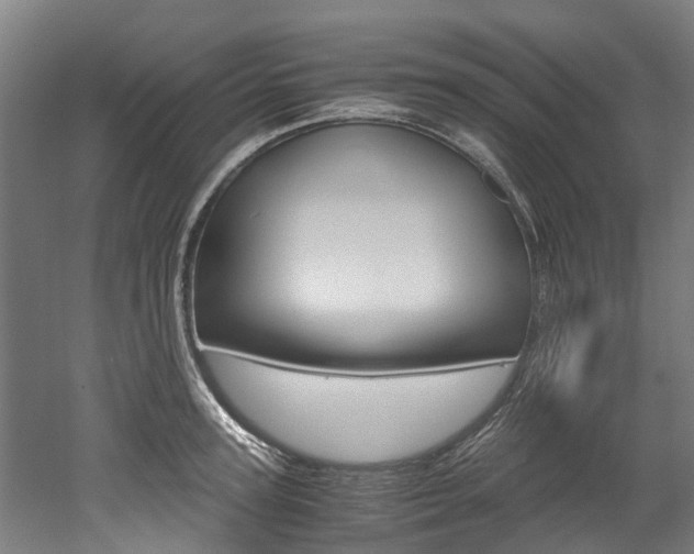 X0000052550947200507010841