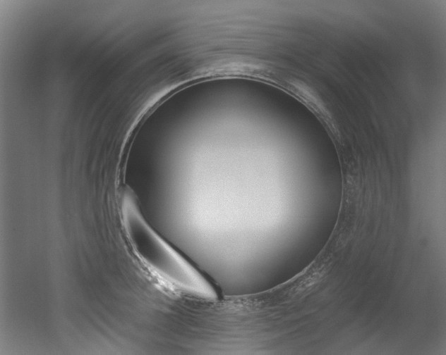 X0000052550948200507010841