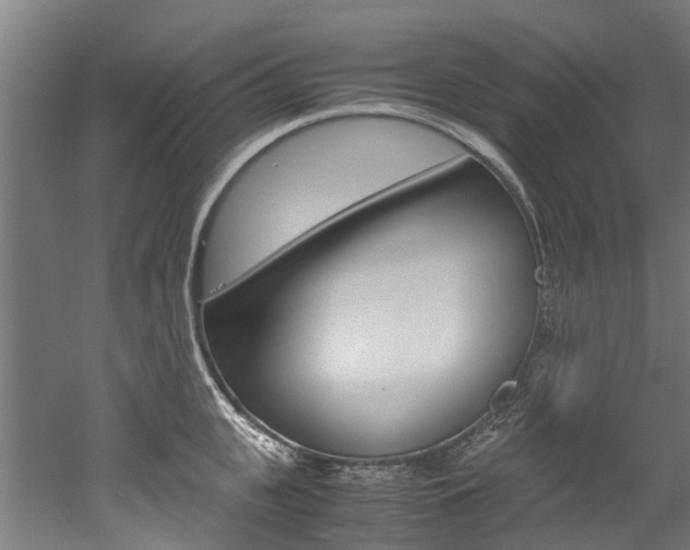 X0000052550951200507010841