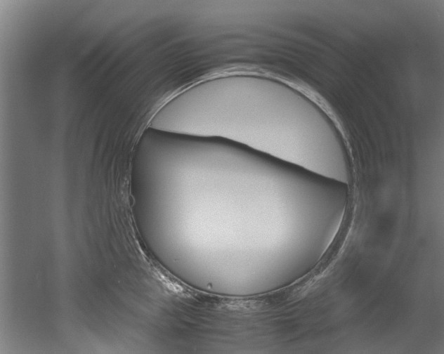 X0000052550953200507010841