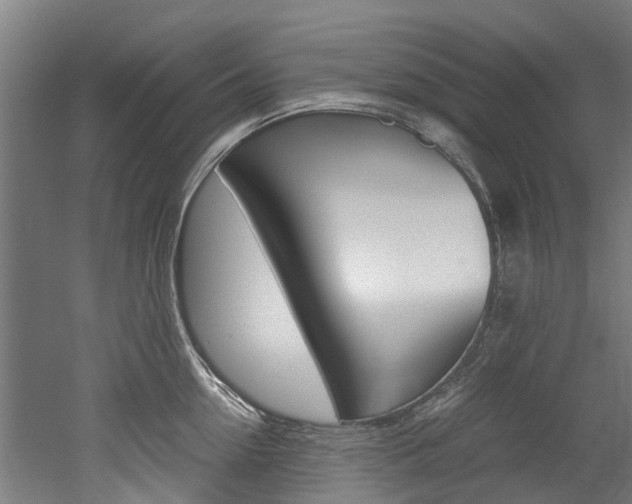 X0000052550954200507010841