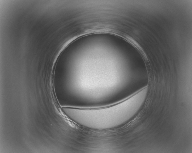 X0000052550956200507010841