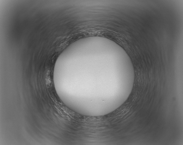 X0000052550962200507010841
