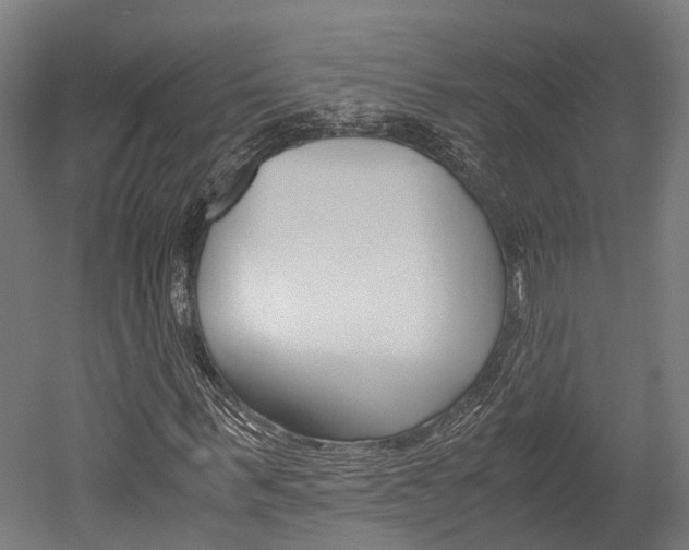 X0000052550963200507010841