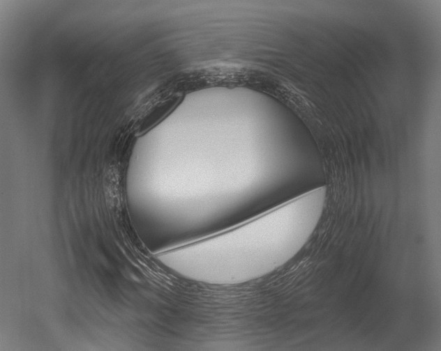 X0000052550964200507010841