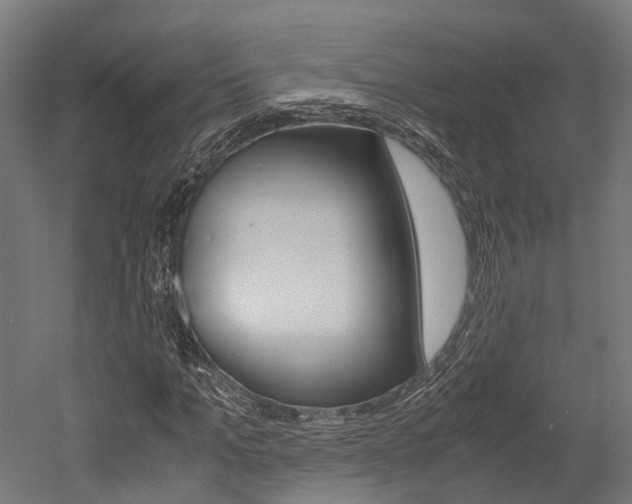 X0000052550965200507010841