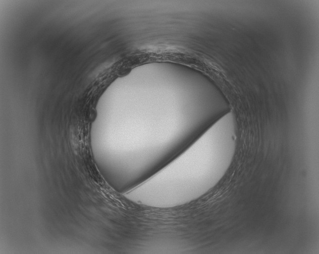 X0000052550966200507010841