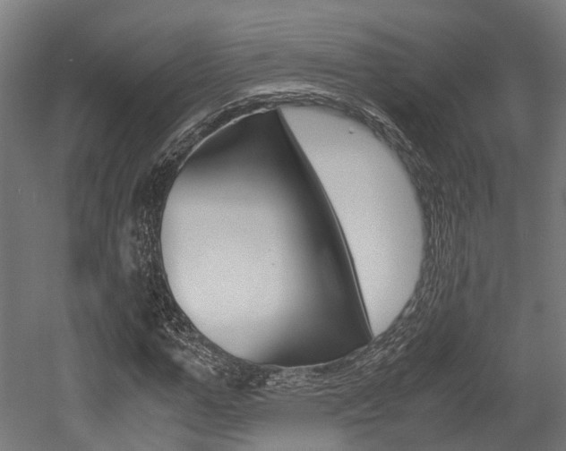 X0000052550967200507010841