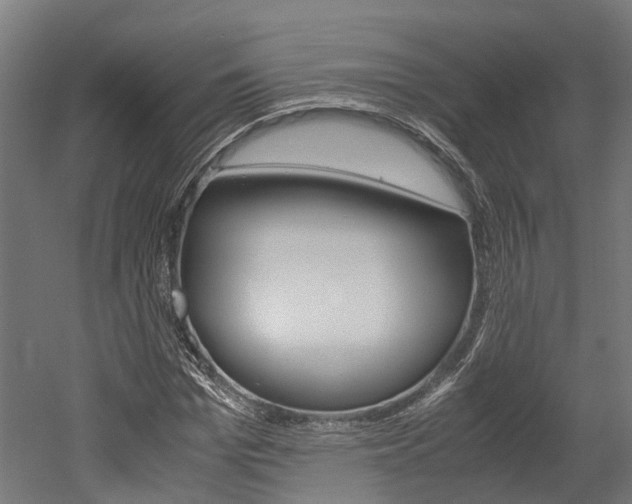 X0000052550969200507010841