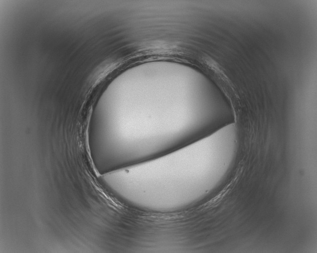 X0000052550970200507010841