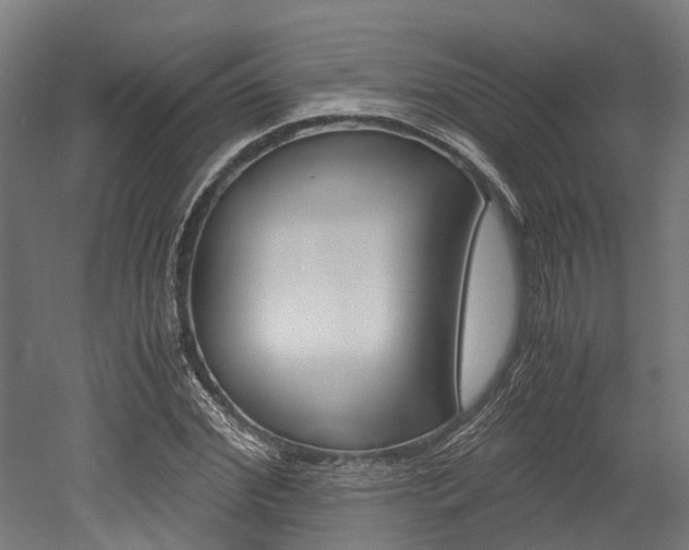 X0000052550972200507010841
