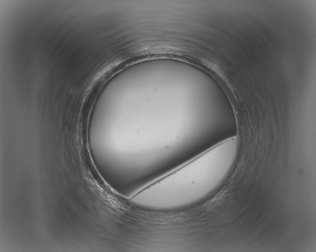 X0000052550979200507010840