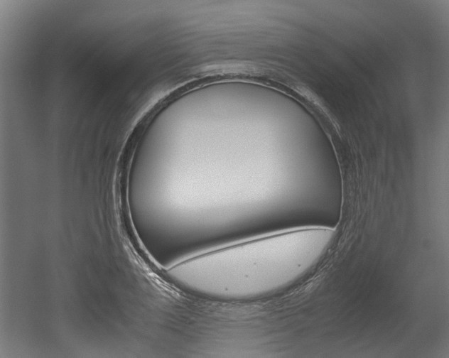 X0000052550983200507010840