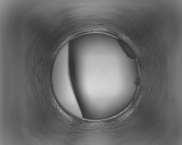 X0000052550985200507010840