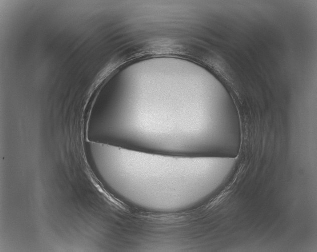 X0000052550986200507010840