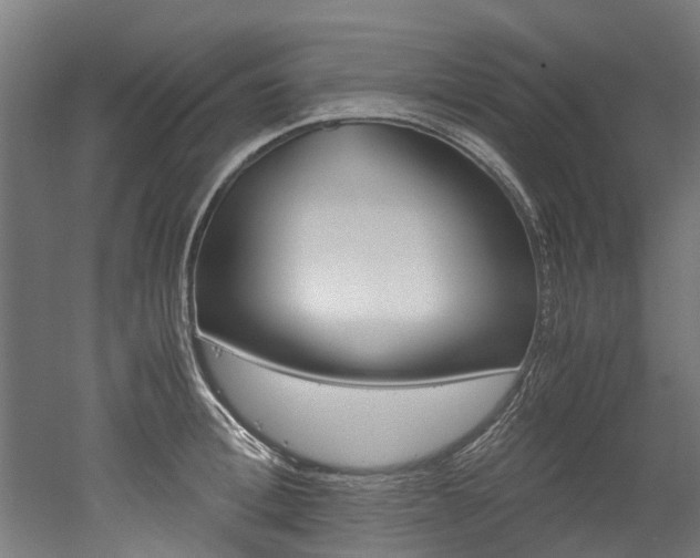 X0000052550996200507010840
