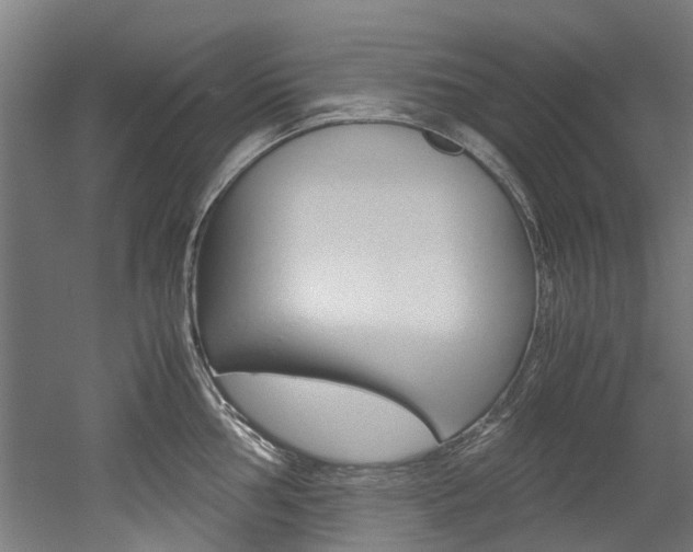 X0000052551002200507010840