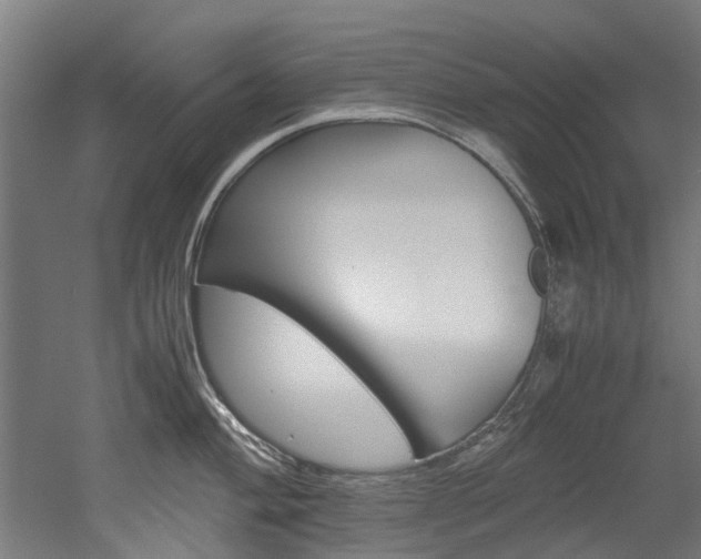 X0000052551004200507010840