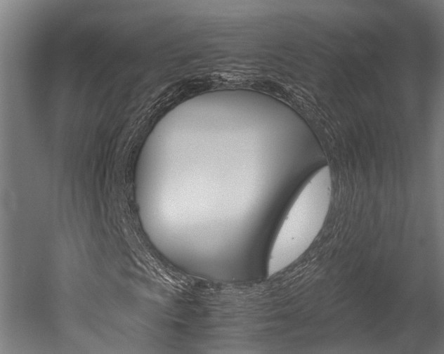 X0000052551009200507010839