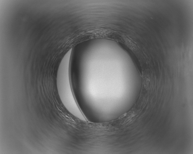 X0000052551010200507010839