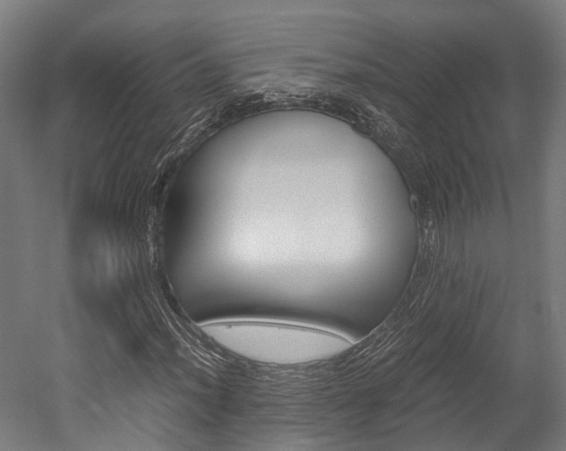 X0000052551012200507010839