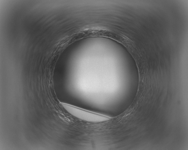 X0000052551014200507010839