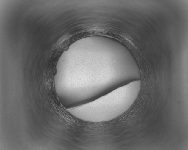 X0000052551015200507010839