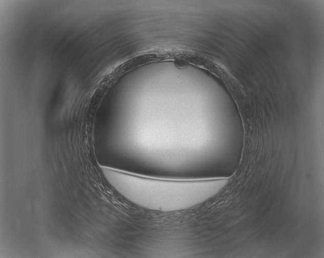 X0000052551016200507010839