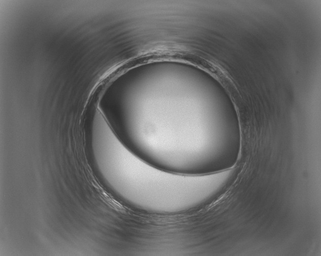 X0000052551018200507010839