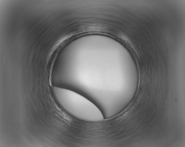 X0000052551019200507010839