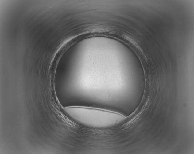 X0000052551021200507010839