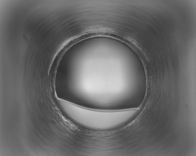 X0000052551022200507010839