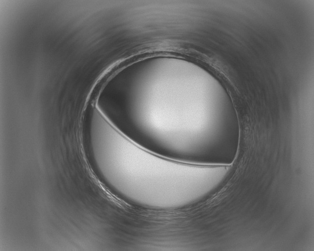 X0000052551024200507010839