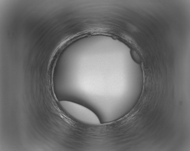 X0000052551027200507010839