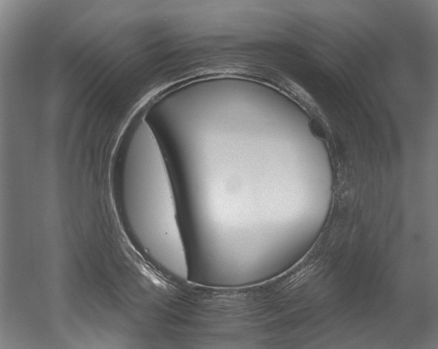 X0000052551035200507010840