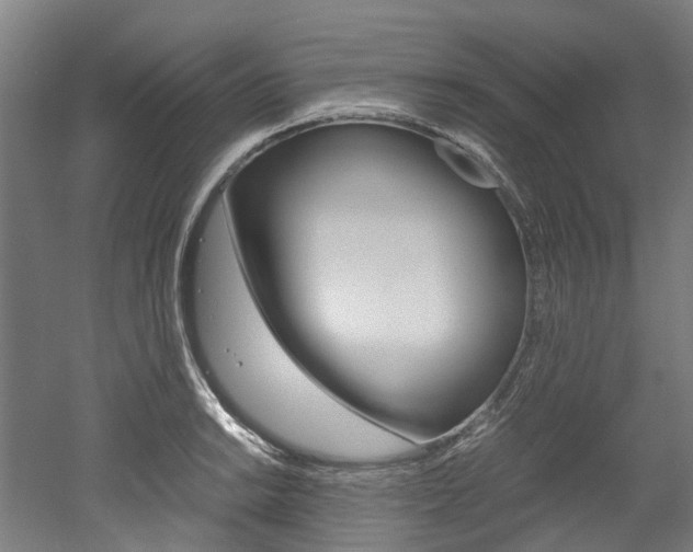 X0000052551038200507010840
