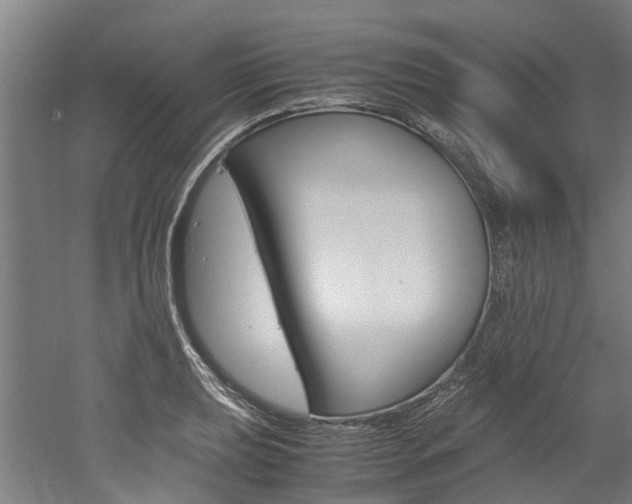 X0000052551039200507010840