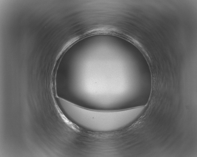 X0000052551042200507010840