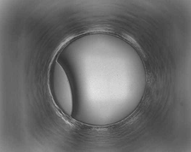 X0000052551043200507010840