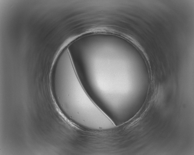 X0000052551045200507010840