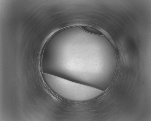 X0000052551051200507010840