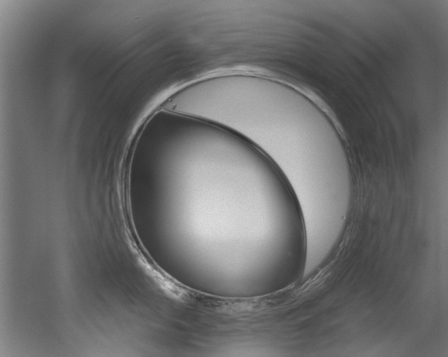 X0000052551054200507010840