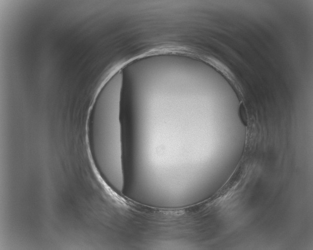 X0000052551055200507010840
