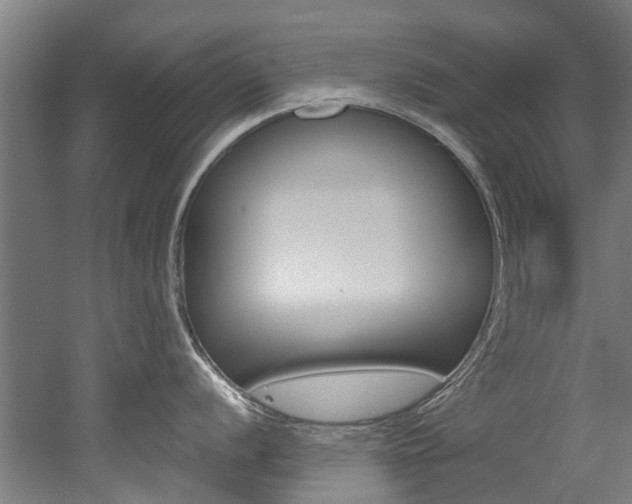 X0000052551056200507010840