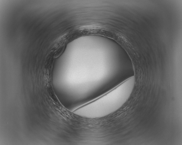 X0000052551062200507010839