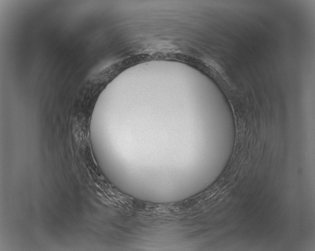 X0000052551063200507010839