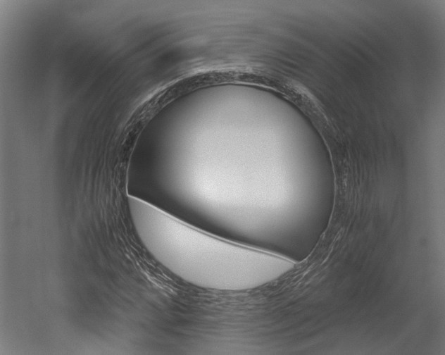 X0000052551064200507010839