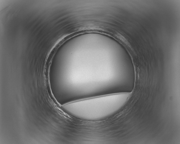 X0000052551068200507010839