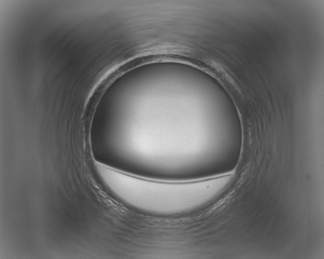 X0000052551069200507010839