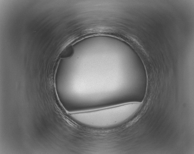 X0000052551073200507010839